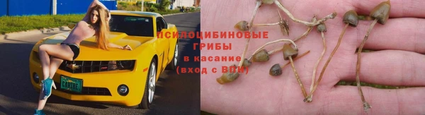 спайс Аркадак