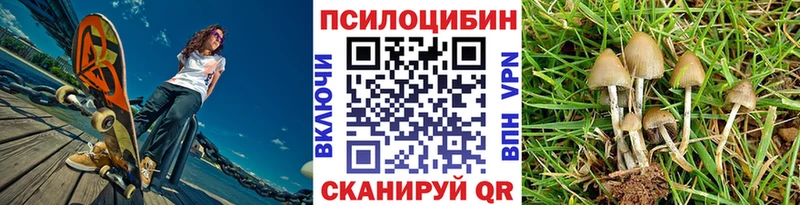 Псилоцибиновые грибы ЛСД  OMG как войти  Славгород 